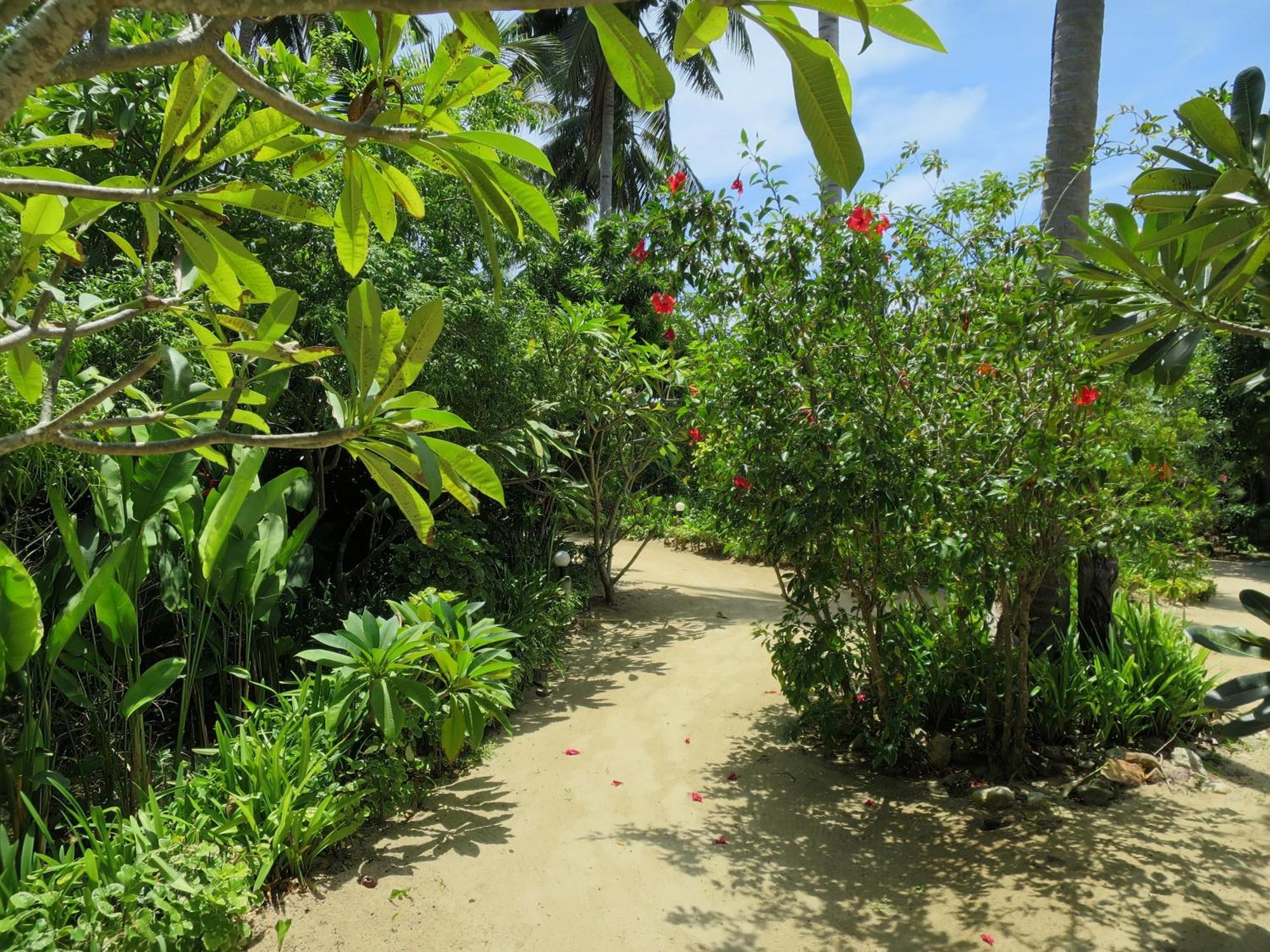 Seaflower Bungalows Srithanu Ruang foto